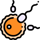 fertility-counselling-evaluation treatmentby Dr.Anusha in hyderabad